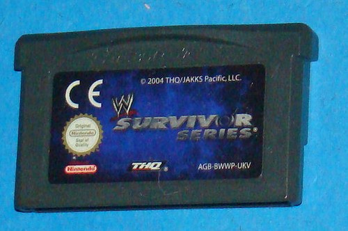 Wwe survivor series game - wwe, boy